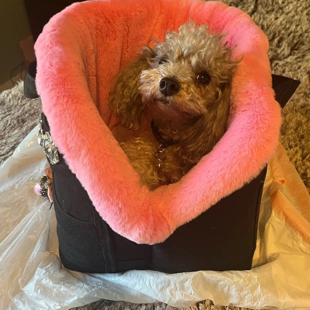 Pet luxury bag carrier.
